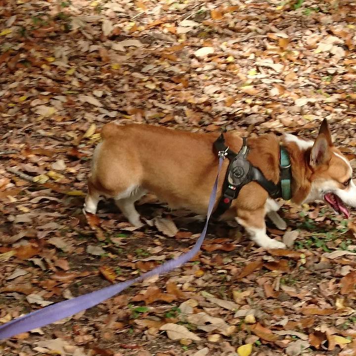 7ee137d5 2a40 4414 ab3a 458832c285c8 1668398405352