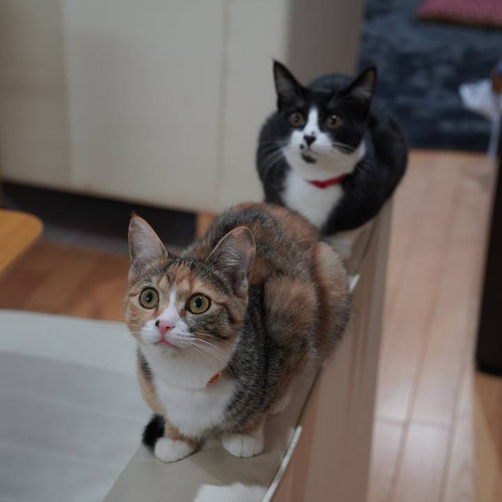 7ee137f1 6d61 4912 9d02 d5590657c6b7 1578355808268