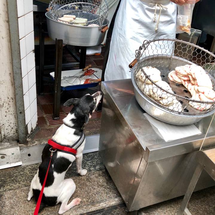 7ee13dca bc4f 4596 9863 fb28fd6e8ae9 1568611546716