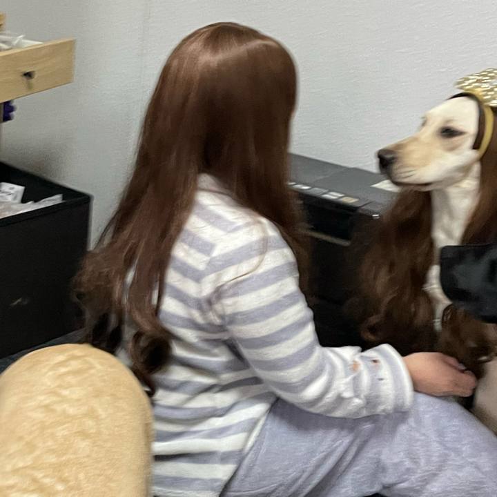 7ee171e6 4d50 44a9 bcc6 4e6ceccfcf53 1643898678035