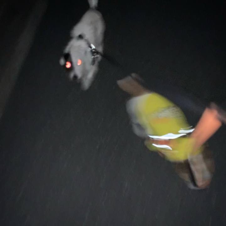 7ee18204 0053 4ff0 8d9f cc05f5aad9fb 1637764873879