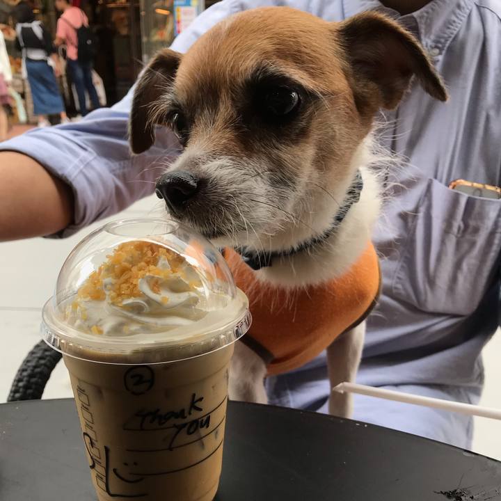 7ee18208 08da 4428 8319 90f0e685a41a 1537609920374