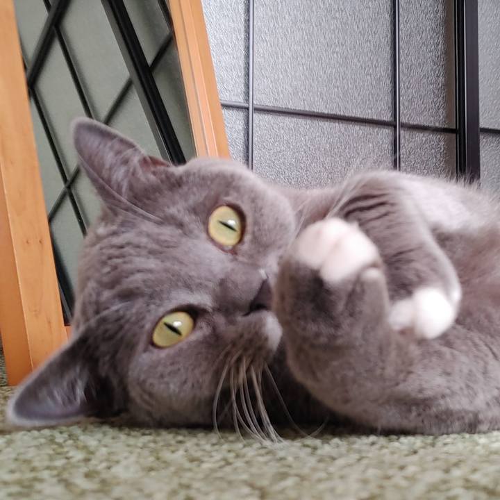 7ee18a2e a985 4020 b702 ba67b4bfff14 1641172978724