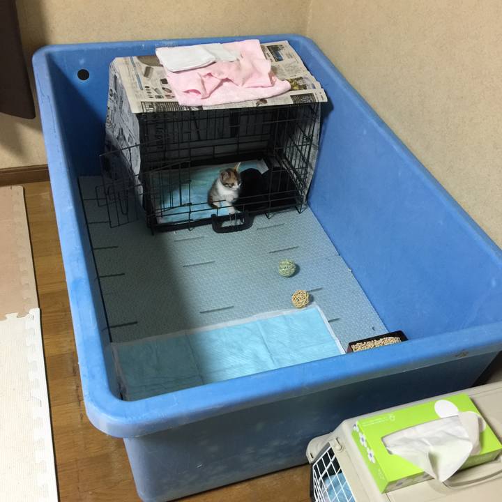 7ee19320 c470 4a06 9536 c6e3fa130e15 1628163295797