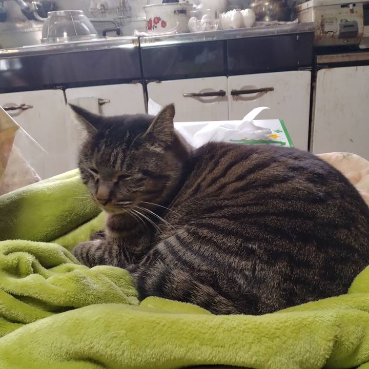 7ee19d05 096a 4489 b879 da2403319c42 1675922187100