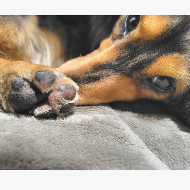 7ee1a62f 7ea5 4c91 a7ca 1a7b42000606 1739403163896