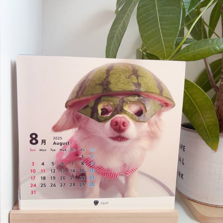 7ee21ffc aaa5 4866 aef9 ceba967a88af 1754120379824