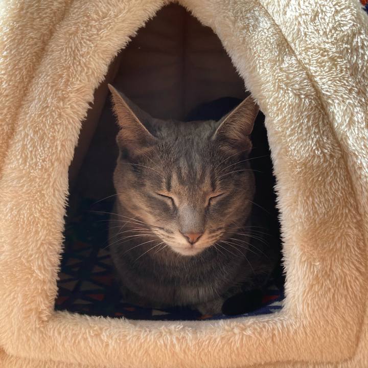 7ee25ab0 13ff 4af9 8d11 a5fcf1d345c4 1605427834522