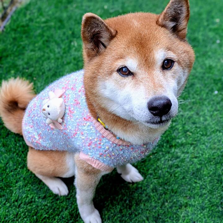 7ee267e6 15f6 4b69 9ab2 a8c2d4426f31 1768894265393