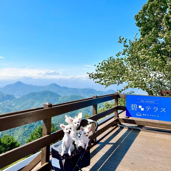 7ee27f68 8b3a 41e0 b298 d946a207cde2 1656135696352