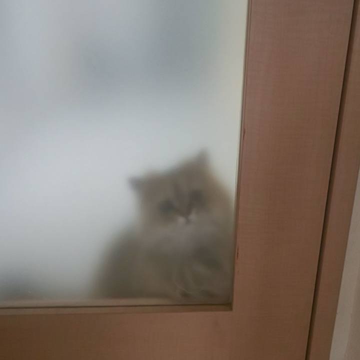 7ee2838d 1a41 442d ad14 7bb842f6b252 1587391479973