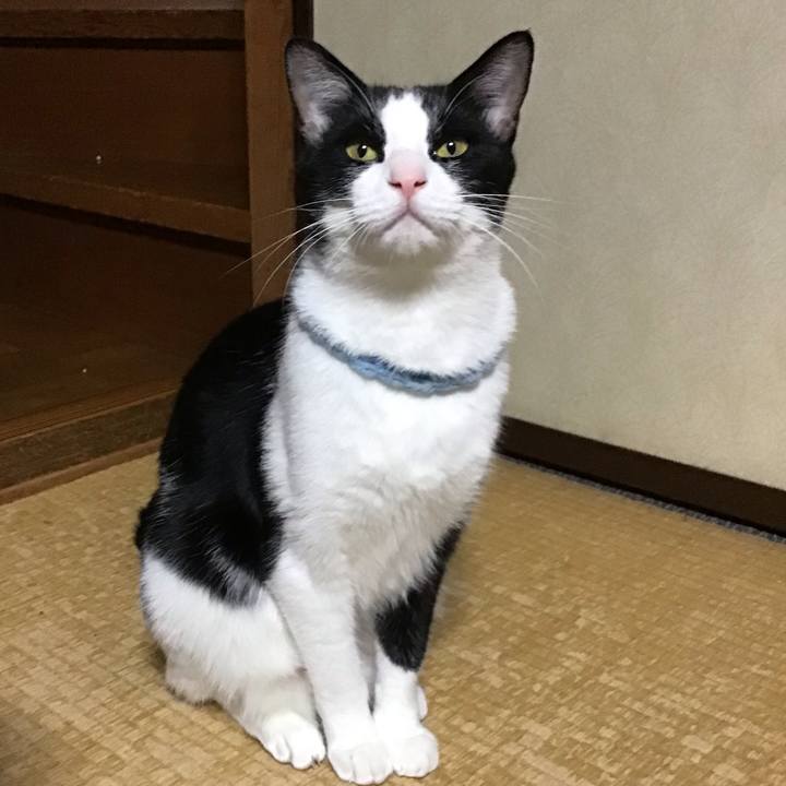 7ee29b79 d3c5 469e 8d2c 46ba1fbc18c7 1666355991778