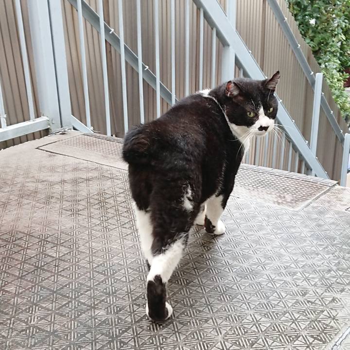 7ee2ab68 1e70 4f44 8f8e 18e92fdafdf7 1661034848267