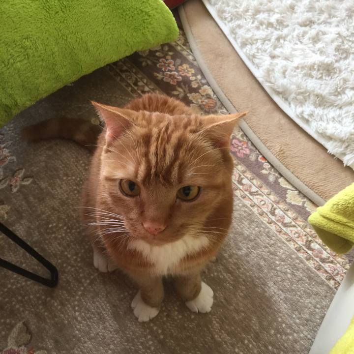 7ee2bdd6 df92 4a23 a4ff 47c68bc81b60 1583549682587