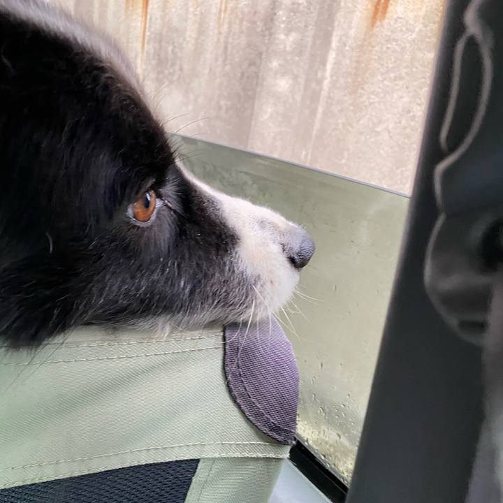 7ee2e02e 2cac 452c b0a7 250b10af1dad 1593726906882