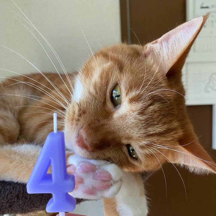 7ee2f041 fc59 4f9e 82f3 b9030374f4f5 1599706197026