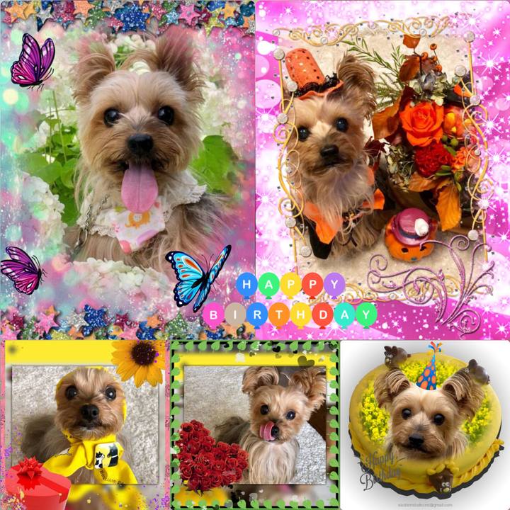 7ee3167b 2757 415c 9f14 a51c807b7f65 1547472135660