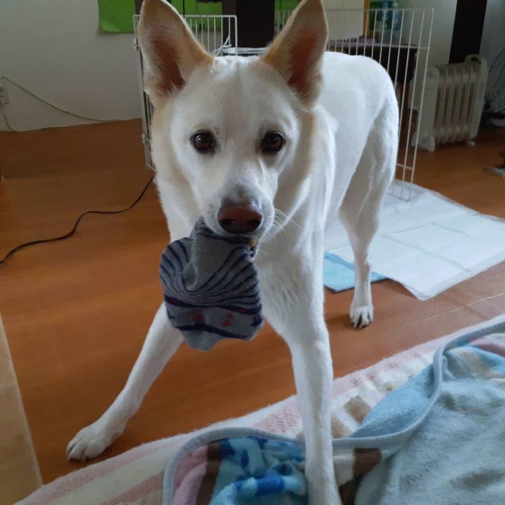 7ee346b7 0cf3 4898 9143 2147c7b10de3 1677199438549