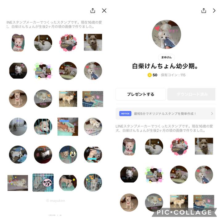 7ee3506f 092b 4167 91d1 a90b0e4877cb 1647858397955