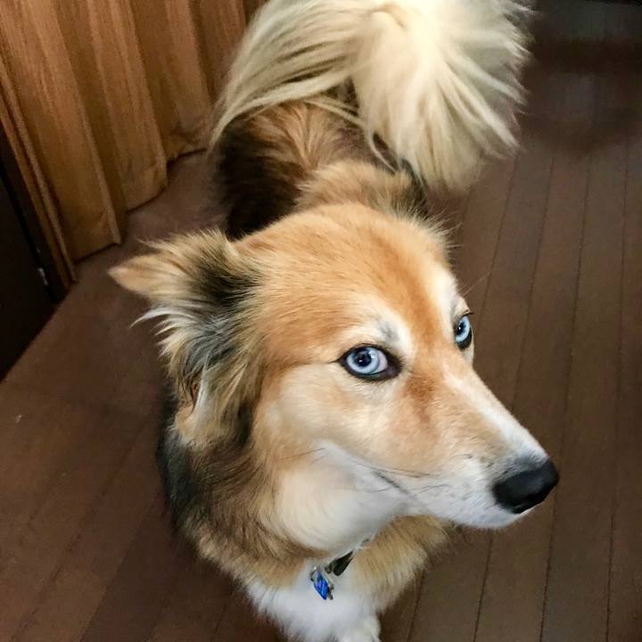 7ee35979 15a6 4b2d 9bdb c9cd7c8f6151 1526010236270