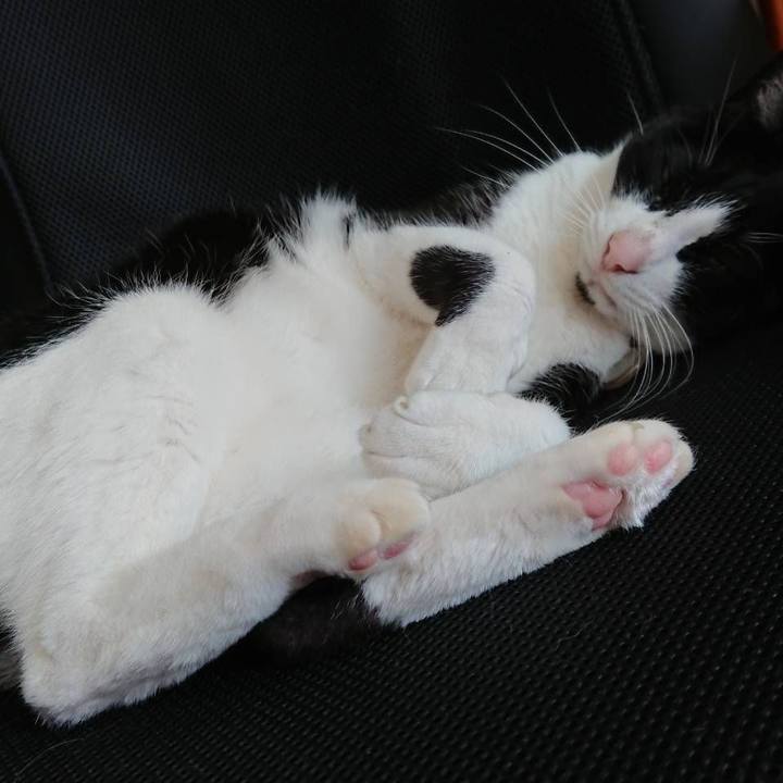 7ee3665a 7cb8 4436 af44 4f10045844cf 1681518148725