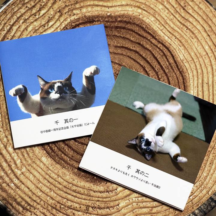 7ee379bb a778 4917 94c0 d20f6c389b3a 1510134679379