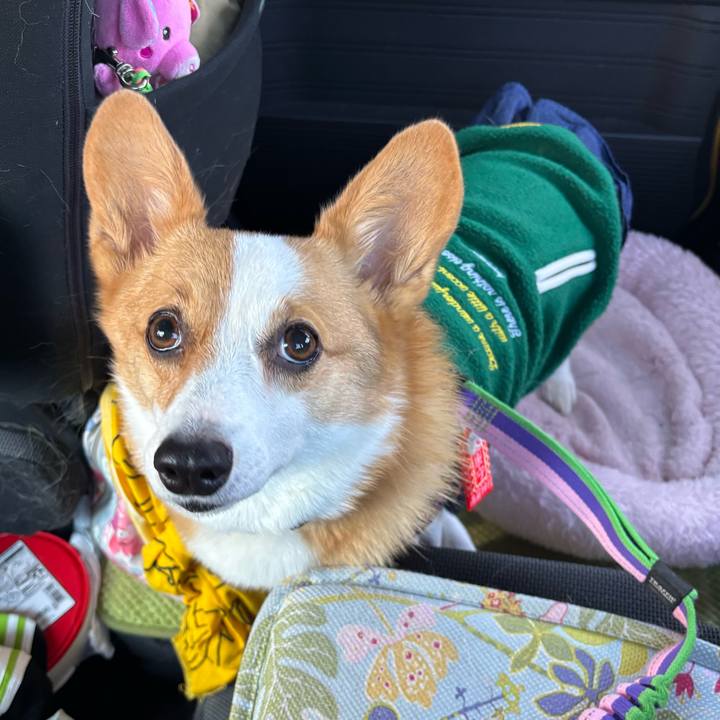 7ee3934f 22f9 4d12 99b0 20707155b4a3 1765078959481