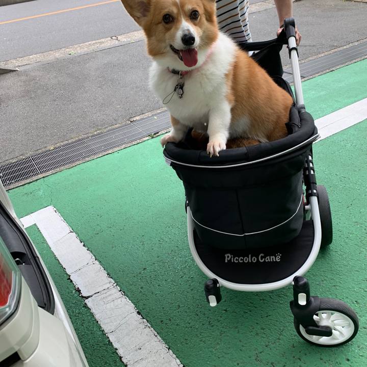 7ee39c5b be3c 4b22 bc4e 32719731b815 1594094372729