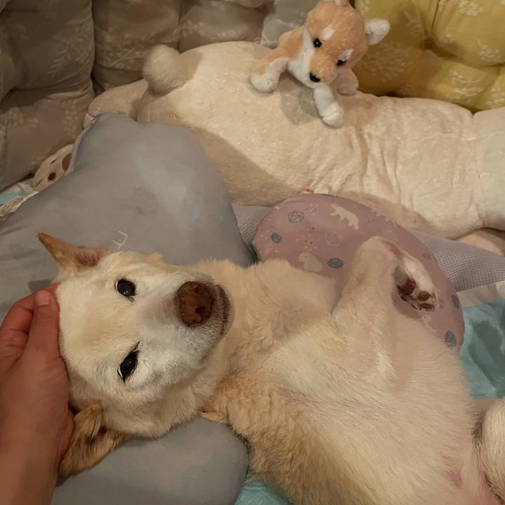 7ee41901 2f07 4e1c b443 7128ccf25f81 1680966268423