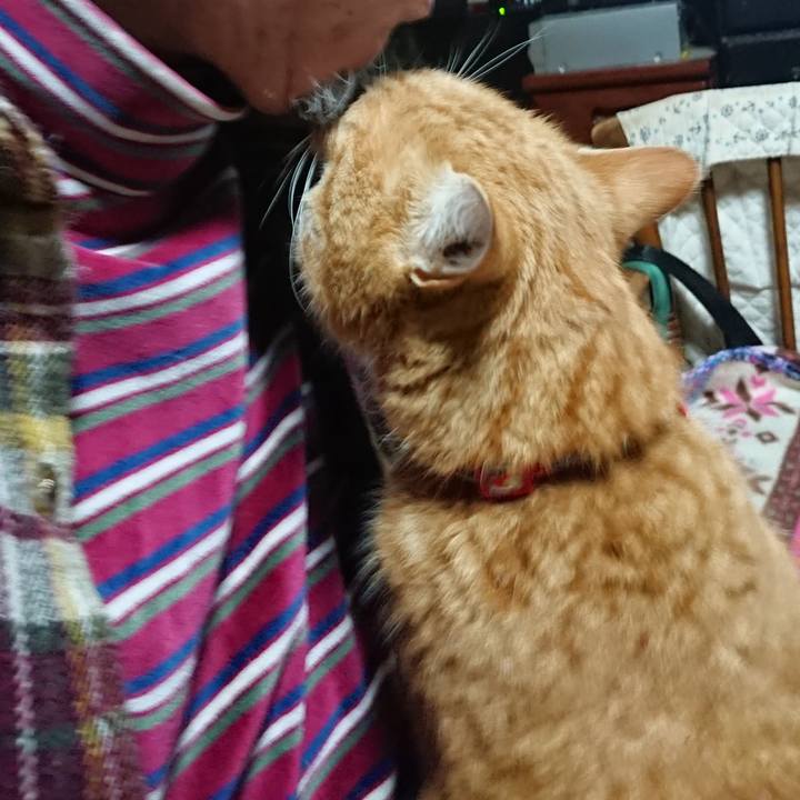 7ee41a54 73f4 4e7c abe6 3bca5b2b5140 1578690351691