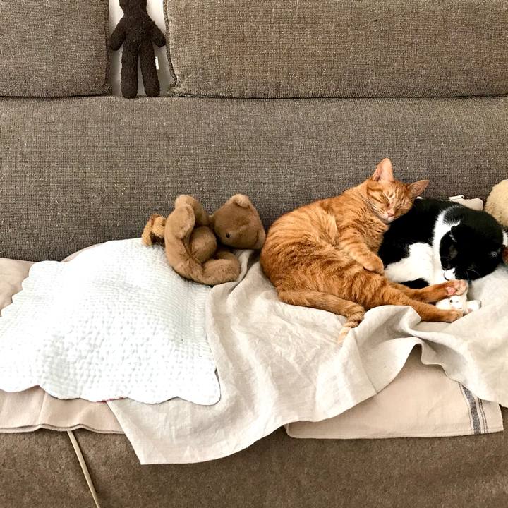 7ee41c41 b80b 43c8 9f73 4ca988daf169 1520750172203