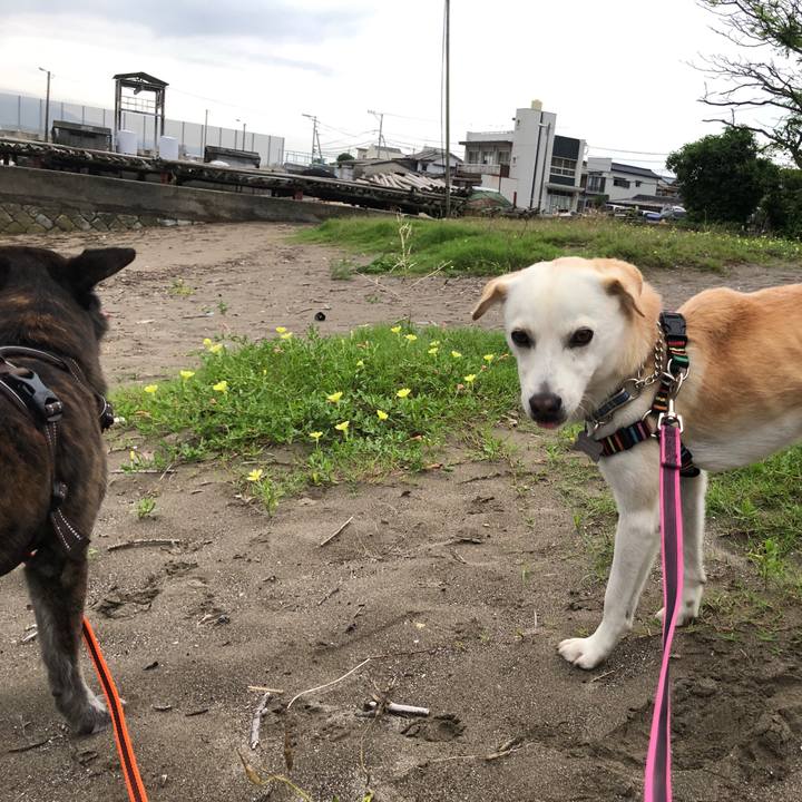 7ee461a2 dae0 4cc1 875b 23044e015c14 1627471603636