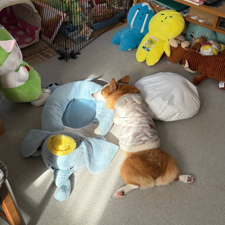 7ee46a15 750b 4428 8909 39915c36fa00 1768531651335