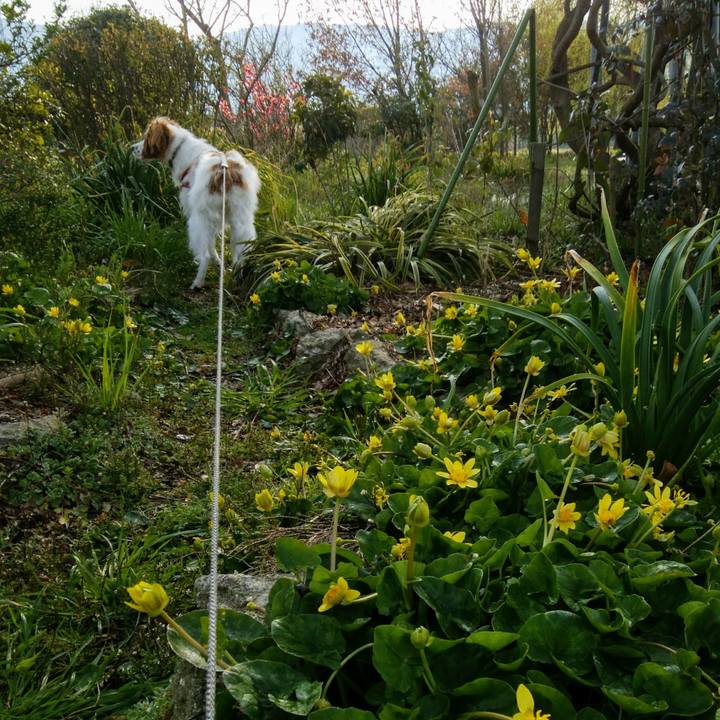 7ee4af92 7989 4900 bf71 7c56d29c1e79 1553472976176