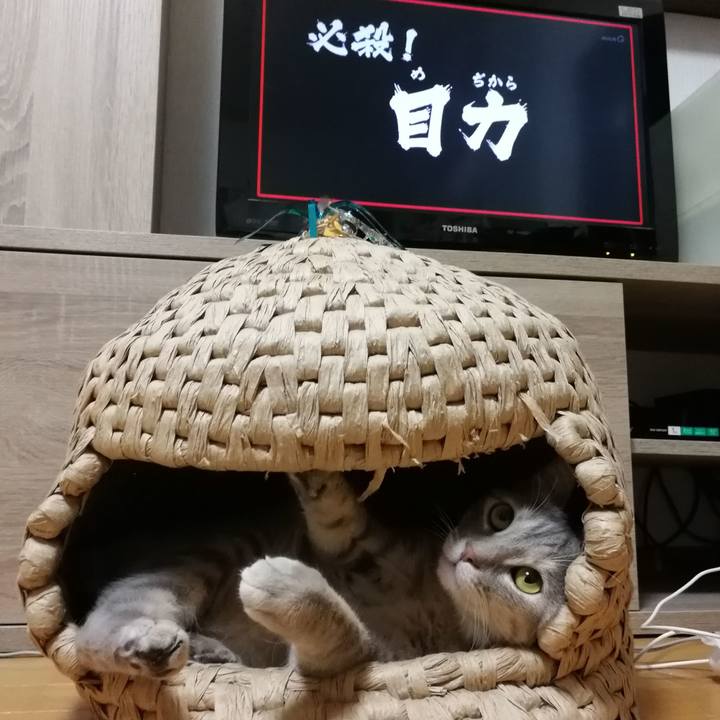 7ee4cddd 0772 462d b8fe 16a63399d5dc 1528895861265