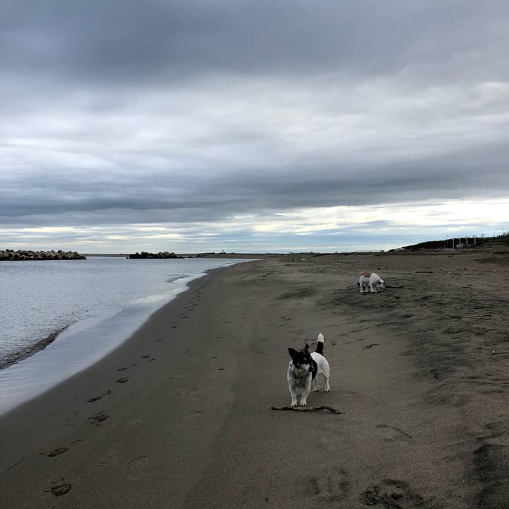 7ee52090 aadf 4b31 a4fb d8e846de804c 1525735305255