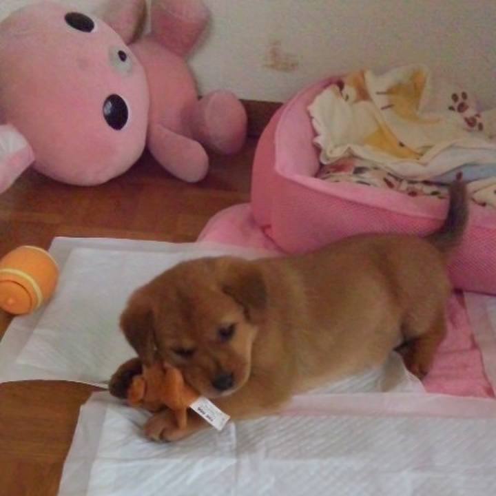 7ee53cf5 0c94 43c7 8781 b637a1384785 1526864781204