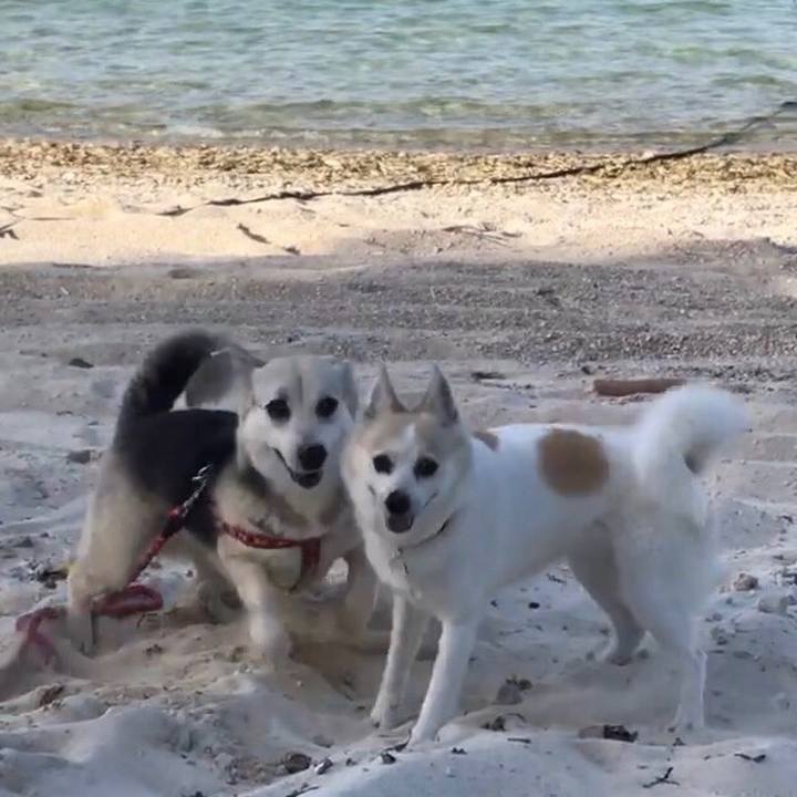 7ee54530 9ff2 4f37 b660 799dab0ffc5c 1526048080664