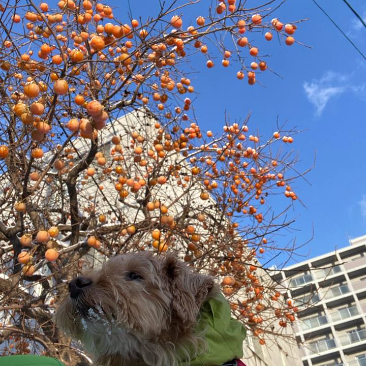 7ee5474c a53f 4d73 b5f3 81a70c6bc4e0 1670112681399