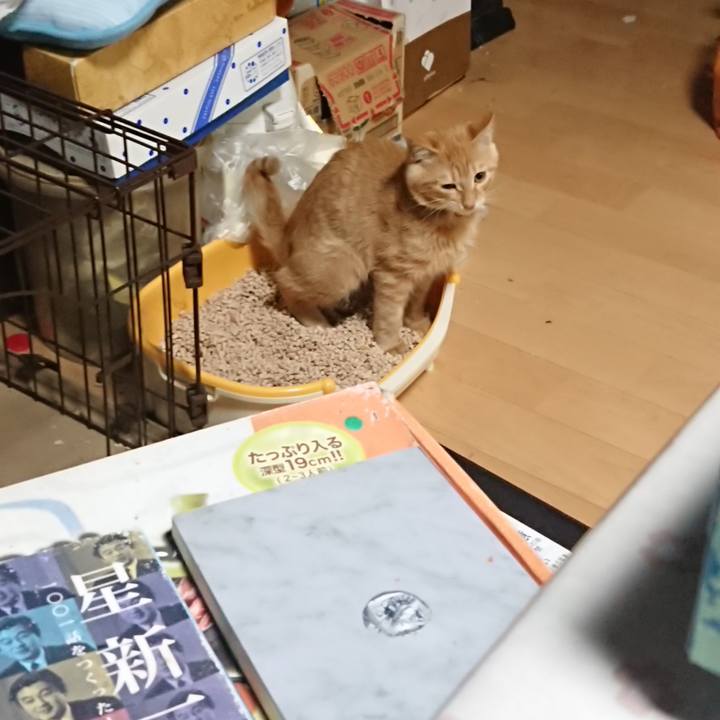 7ee57a64 a22a 4c23 8005 89fb284b7c1b 1634378146766