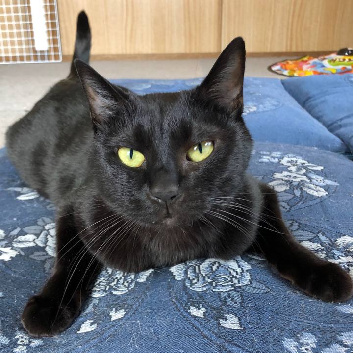 7ee5bdfc b015 453d b0aa da5e7df1d1f0 1680914278536