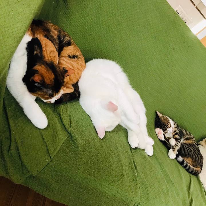 7ee5c4e5 d501 4f04 a84d d38204e99e91 1602242154251