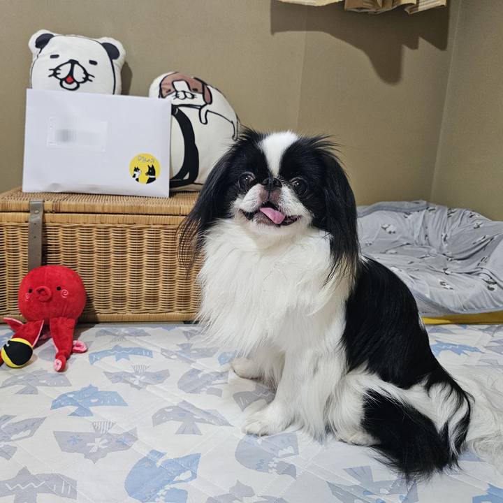 7ee5c8af 0ac0 48e8 8d7d 89d1a9fc9dcd 1719978842630