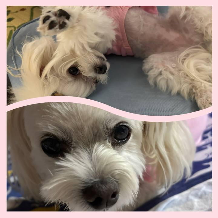 7ee5fd42 55fd 45e0 8393 ff10b3d5f62d 1757079970856