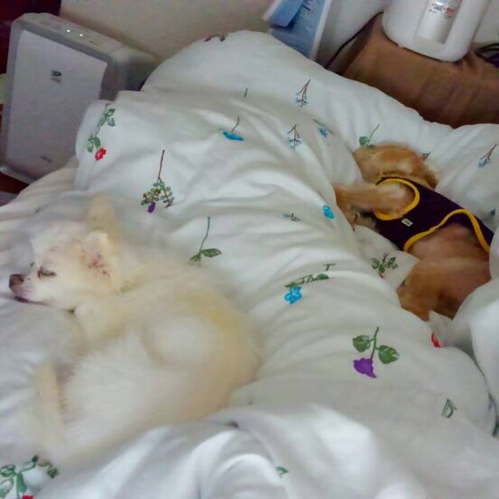 7ee61ca0 d4d4 47cc 8210 a73312b3f272 1529494884217