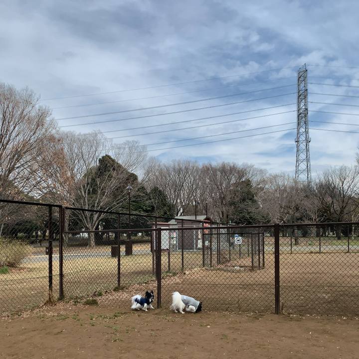 7ee64650 8d3c 480e a001 cbac2d0089bd 1551077578369