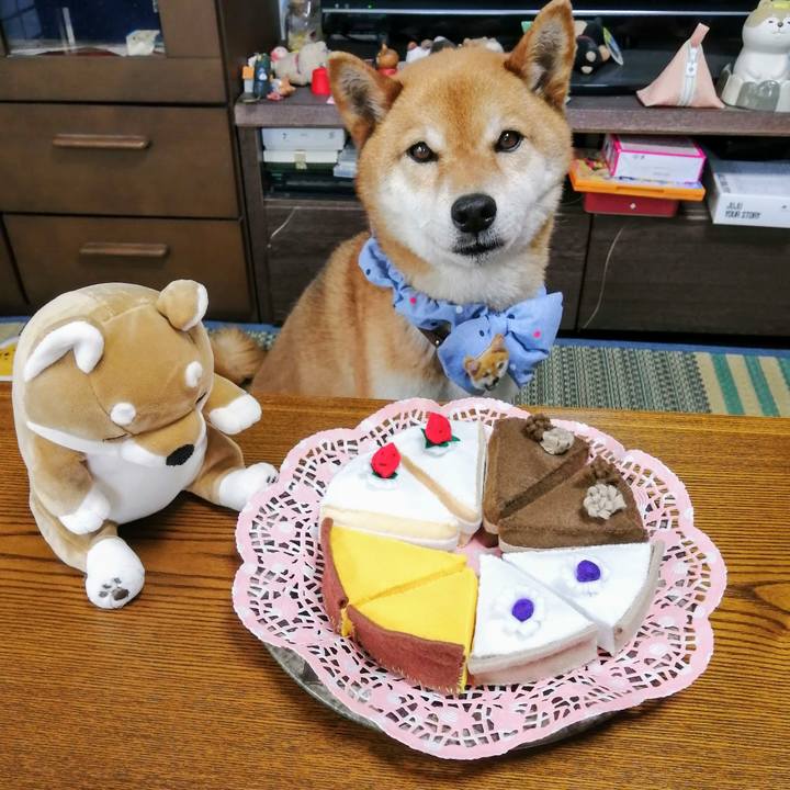 7ee65d67 bbe3 4840 88d7 148048687fde 1588564080061