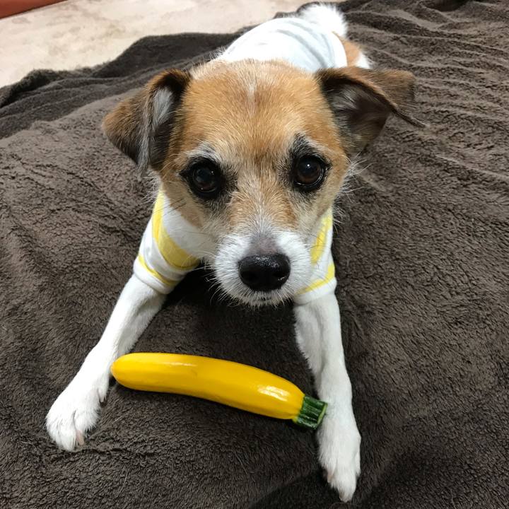 7ee684f4 ce90 4b90 bce2 eef08d543358 1559649610042