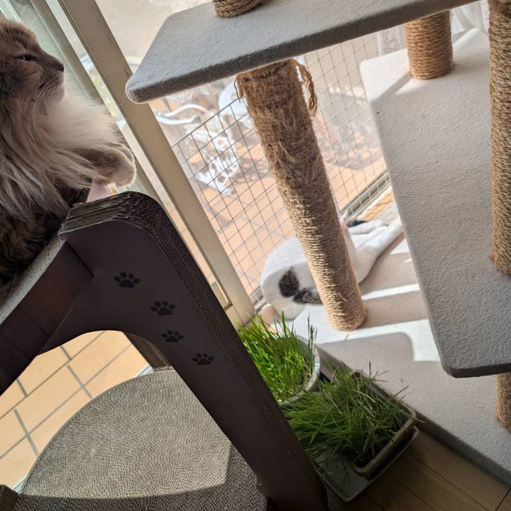 7ee6cf15 ca74 4c39 9a05 b083479db2e1 1727061348077