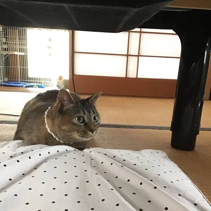 7ee6d580 fbfd 4bca a778 d96b162aa0f4 1688128979419